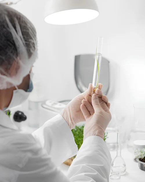 Scientist in the lab tobacco plant