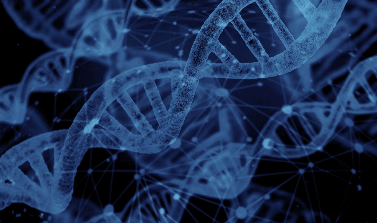 Visual illustration of the molecular structure of DNA.